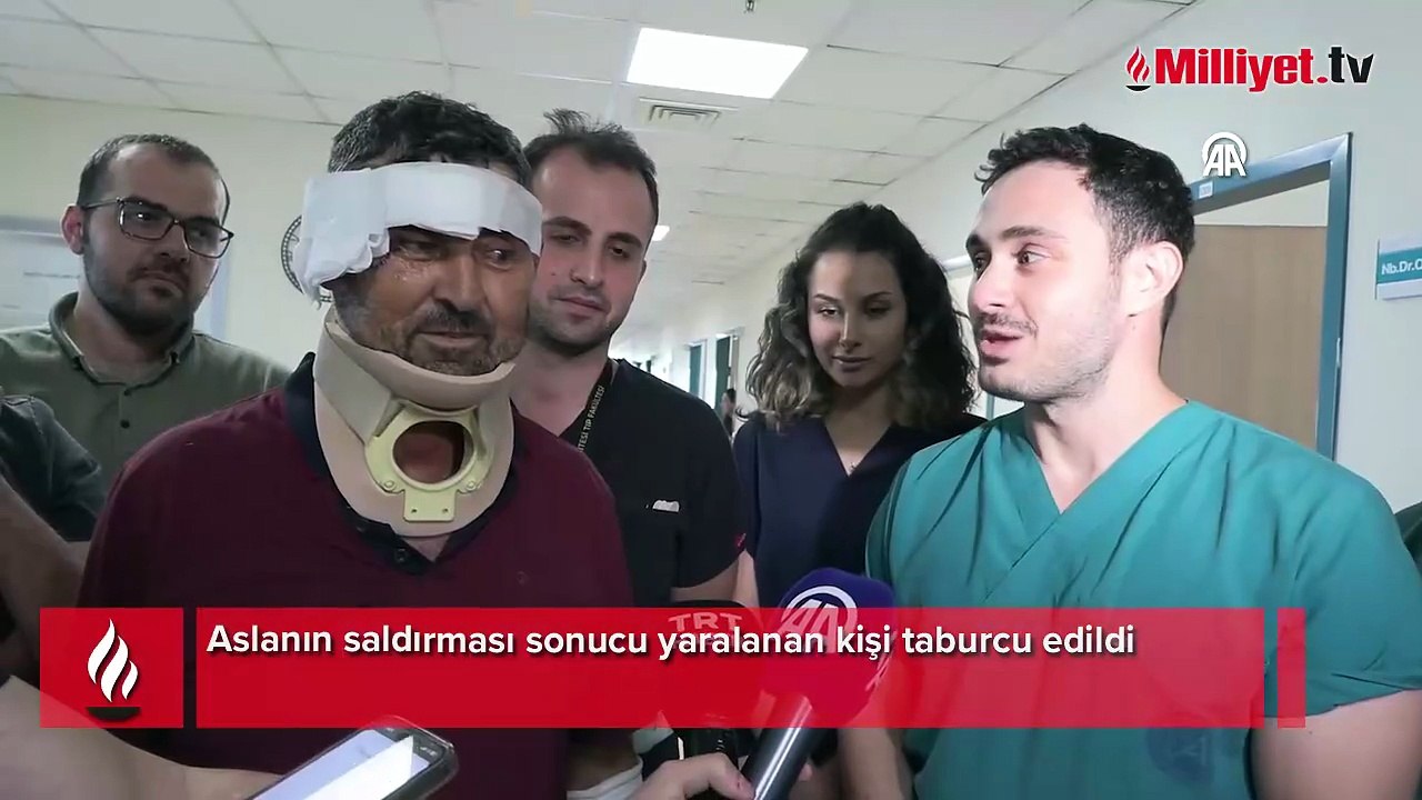 Aslan saldırısına uğrayan adamın son durumu: Vücudumda saymakla bitmeyen dikiş izleri var