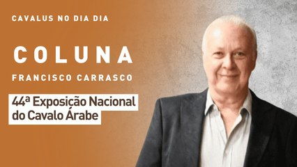 Cavalus no Dia Dia: 44ª Exposição Nacional do Cavalo Árabe