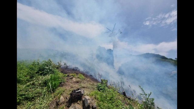 전북 장수군 야산서 불... 담뱃불 원인 추정 / YTN