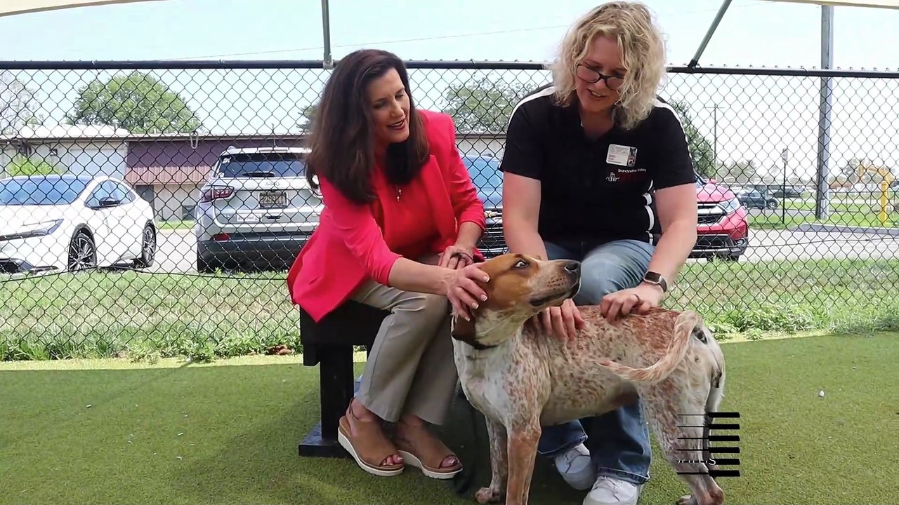 Dawn Visiting Brandywine Valley SPCA