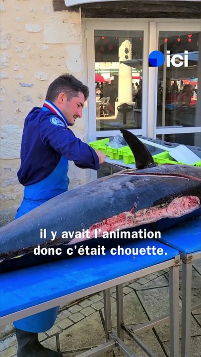 Vidéo - il découpe un thon de 92 kilos