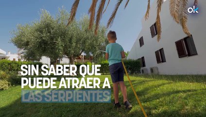Parece inofensivo, pero muchos tienen este objeto en el jardín sin saber que puede atraer a las serpientes