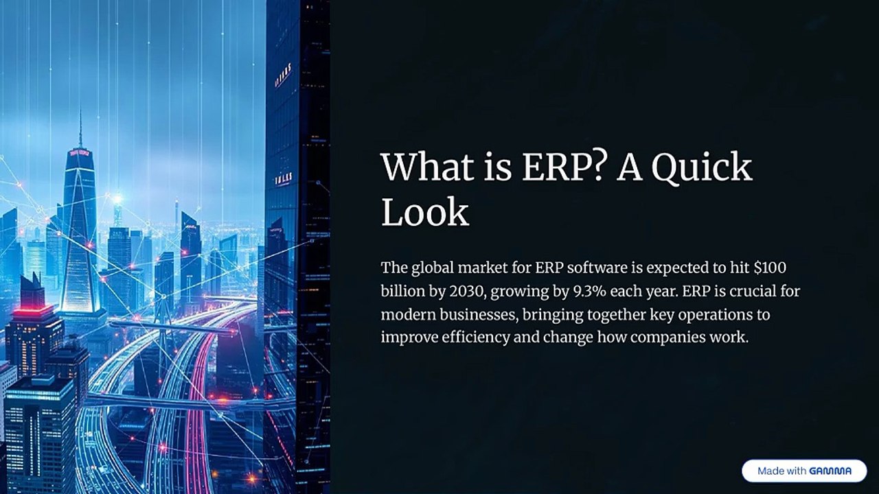 What-is-ERP-A-Quick-Look
