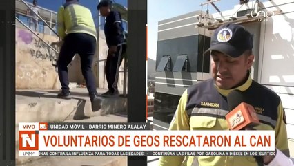 VIDEO: ¡Aullaba sin parar! Perrito cayó a un desagüe sin tapa en Cochabamba y movilizó a todo un barrio