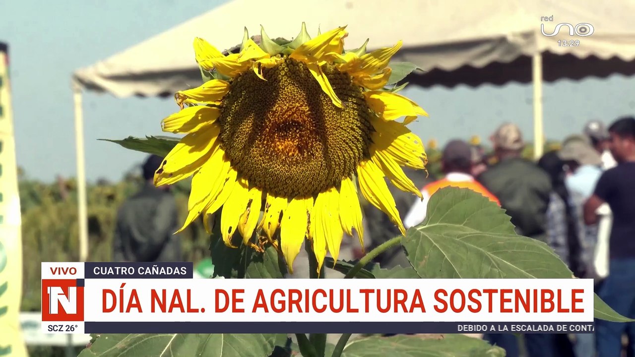 DÍA NACIONAL DE LA AGRICULTURA SOSTENIBLE