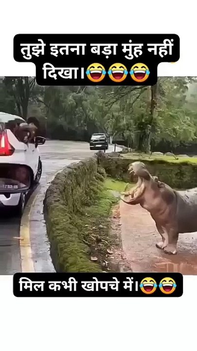 tujhe_itna_bada_munh_nahin_dikhai_Diya_😂🤣_hippopotamus#funny_#memes_#cuteanimals_#shorts#viral#rino(360p)