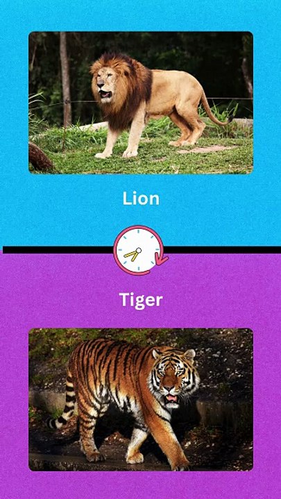 Wild vs Cute! 🐅🐶 | Animal Face-Off Begins! 🐾