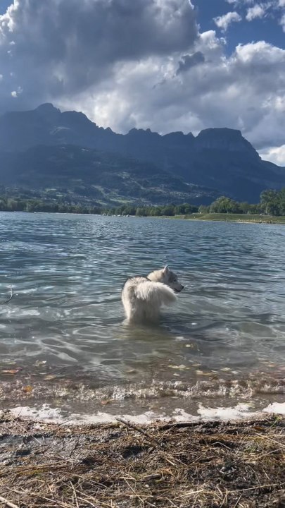 On veut être serein nouuus 🤌🐻‍❄️💛