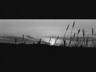 M83 - Skin of the Night