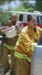 El Arrepentimiento Es El Castigo PelíCula Completa - Full