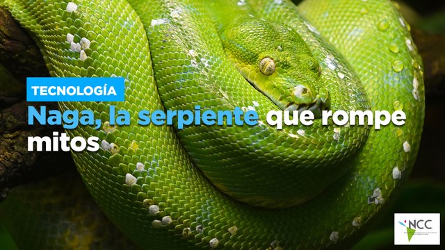 Naga, la serpiente que rompe mitos