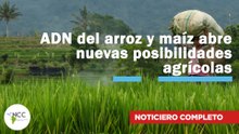 ADN del arroz y maíz abre nuevas posibilidades agrícolas | 777 | 14 al 20 de julio 2025