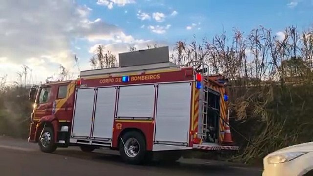 Incêndio em vegetação mobiliza Corpo de Bombeiros na BR-163 entre Cascavel e Sede Alvorada