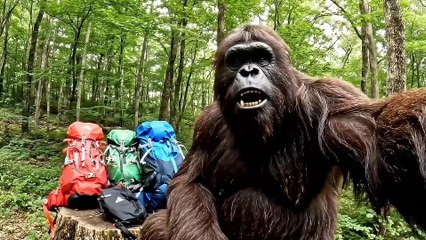 Bigfoot VLOG - I GOT DRUNK AND FOUGHT A BEAR