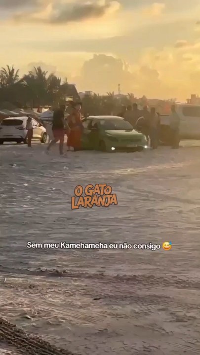 Goku é flagrado empurrando carro em praia no Para