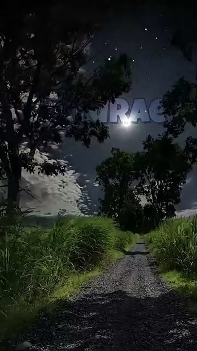 Moon light, Sky full of stars PEACE