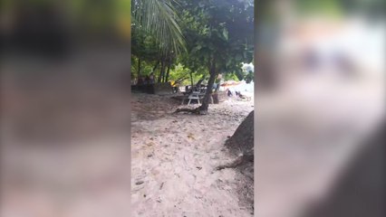 -tn7-Agreden a funcionarios municipales de Garabito-110725