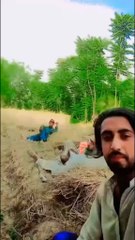 beautiful Pakistan Northern Area ❤️🌹💐