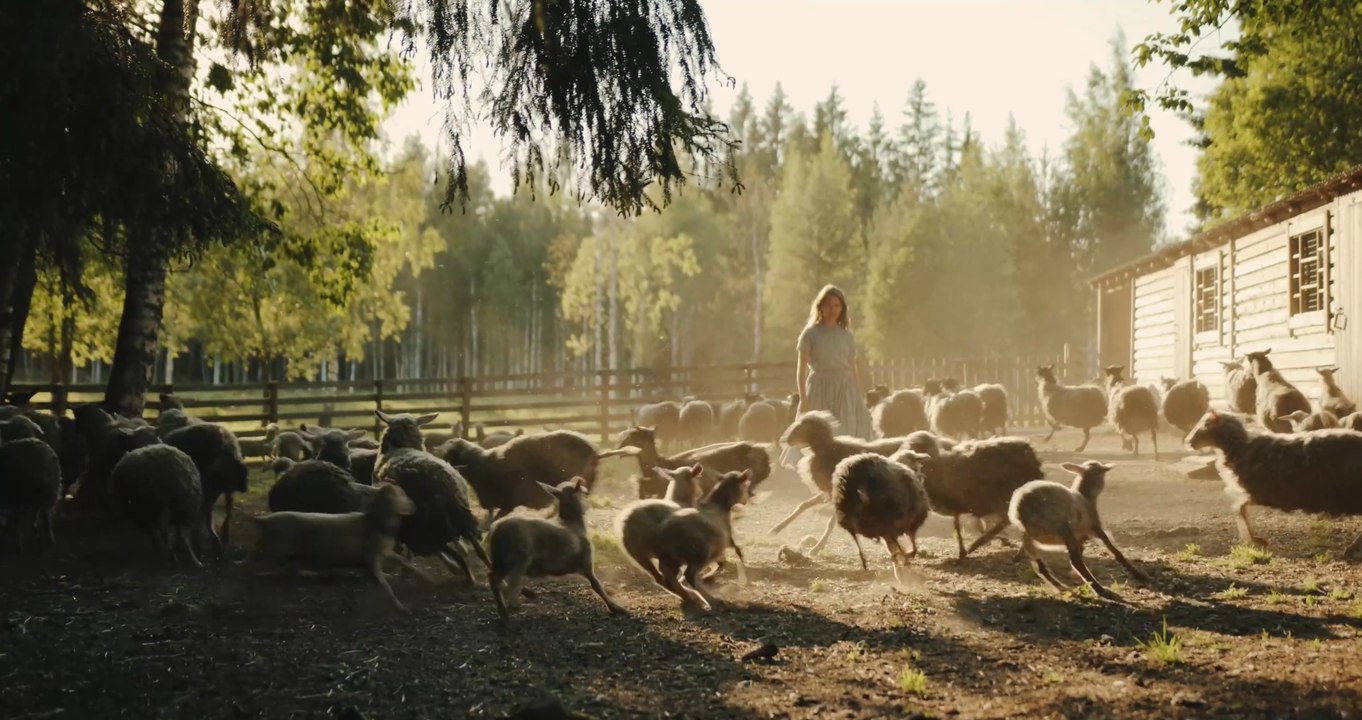 A woman is walking through a field with sheep #fyp Shorts film