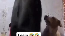 funniest moments! hahahaha 😂🤣