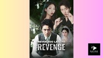 Never Too Late To Revenge - Full Movie (2025)