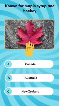Can You Guess the Country Flag? | Fun Flag Quiz Challenge 🌍