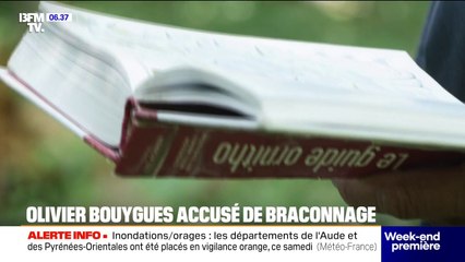 Accusé de braconnage, le milliardaire Olivier Bouygues sera jugé en mars prochain