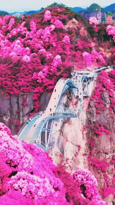 nature relaxation #short #tiktok