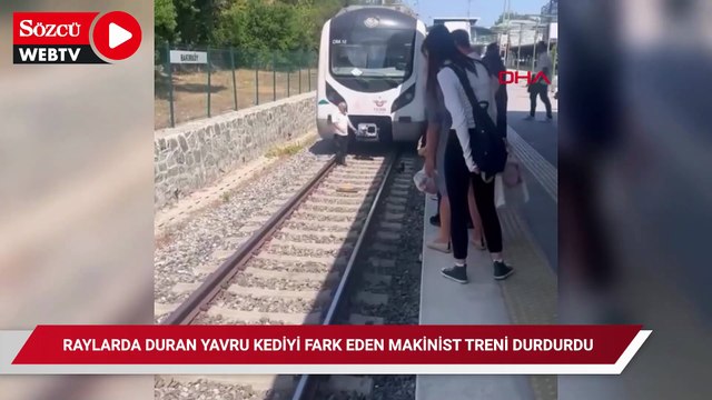 Bakırköy'de raylarda duran yavru kediyi fark eden makinist treni durdurdu
