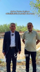 SUDAN KOYUN GEÇİRME ŞENLİKLERİ İPTAL EDİLDİ