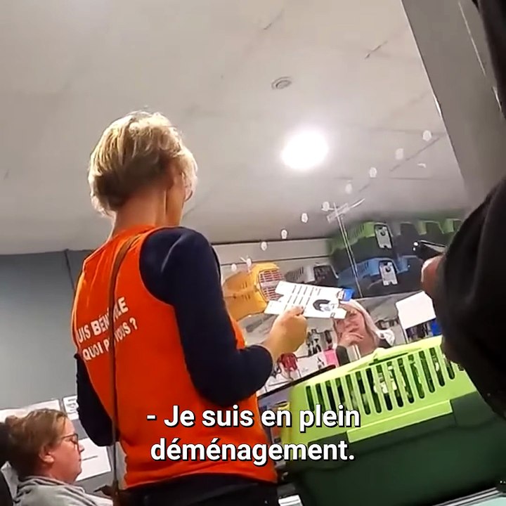 Il jette un chat dans une poubelle 😭💔