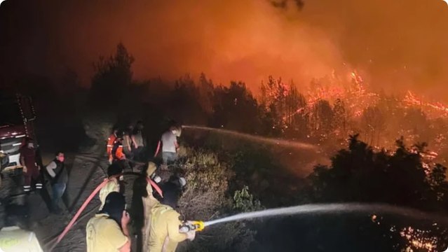Suriye'deki orman yangını yeniden sınıra yaklaştı