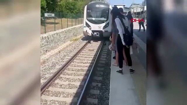 Bakırköy'de yürek ısıtan görüntüler... Yavru kediyi fark edince hemen durdu