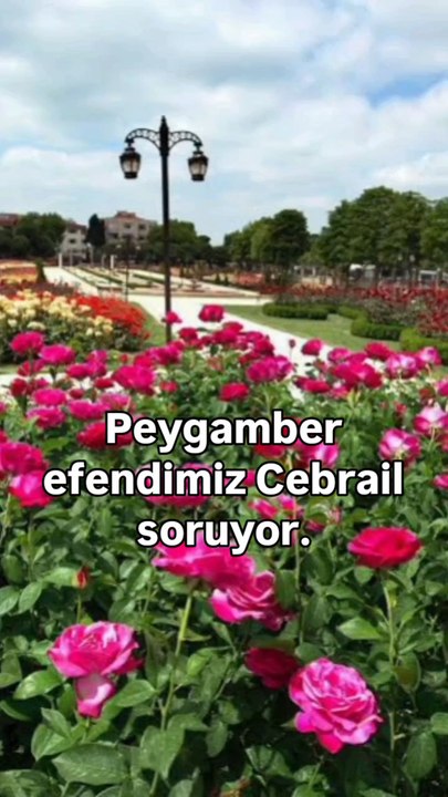 Günün sözü