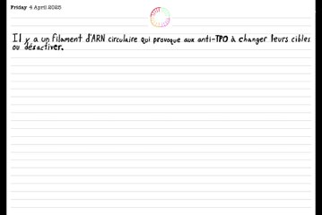 Un traitement futuriste de la thyroïdite de hashimoto