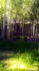 Beauty of Misgar Hunza in Pakistan.