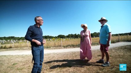 France's Carnac stones vie for UNESCO world heritage list spot