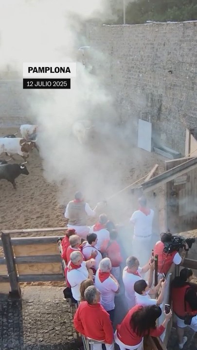 Los temidos toros de José Escolar protagonizan un encierro rápido y limpio