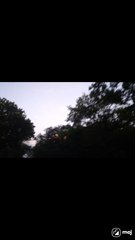 Discover historic charm, iconic landmarks, and urban elegance!  #LutyensDelhi #DelhiVibes #CityExplorers #HistoricDelhi