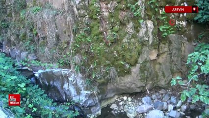 Artvin'deki bazalt kayalıkları ziyaretçi akınına uğruyor