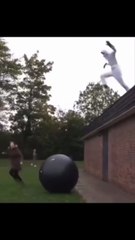 Sky jumping of Ball fail!!!🤣😂
