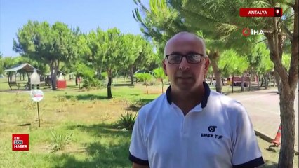 Antalya'da yaralı karga, havadaki kargalar sayesinde bulundu