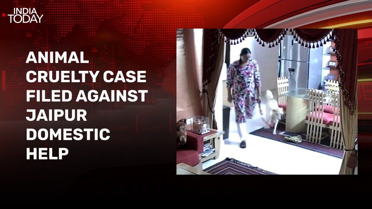 Video: Domestic help abuses pet dog, case filed for animal cruelty