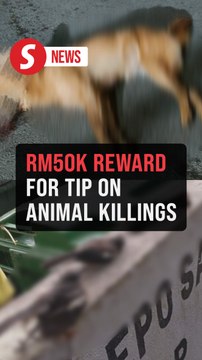 RM50,000 reward offered for information on Penang Hill animal killings