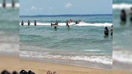 Bir anda çırpınmaya başladı! Kumkapı’da panik anları