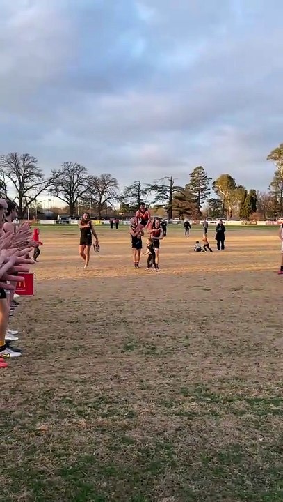 Tyson Shea chair off after 300th game