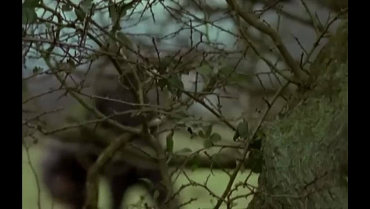 Midsomer Murders John Field Murders Owen August