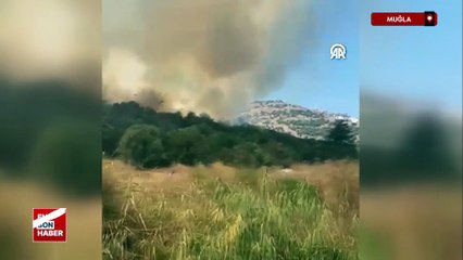 Muğla Milas'ta ziraat alanında çıkan yangın söndürüldü
