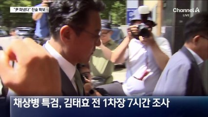 “尹, 언성 높여 화냈다”…김태효 진술 확보
