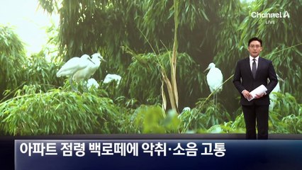 아파트 점령한 백로떼…악취·소음에 주민들 고통